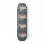 Feelin' Froggy Skateboard