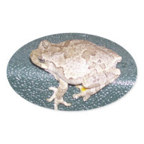 Feelin' Froggy! Stickers