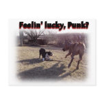 Feelin' Lucky Punk? postcards