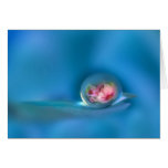 FEELING BLUE LARGE CARD