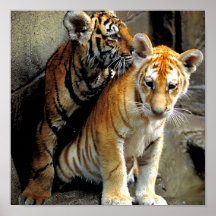 Feeling Frisky ? Posters