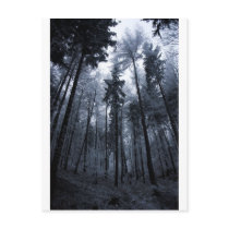 Feeling small postcards