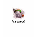 Feiseanna! T-Shirt