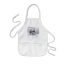 Felgar V9 Apron