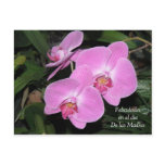 Felicidades dia de las Madres postcards