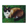 Feline Beauty Postcard