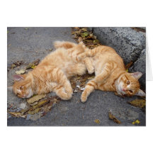 Feline buddies greeting card
