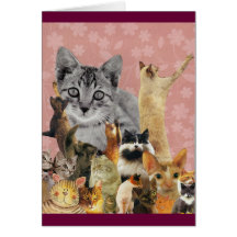 Feline Follies Greeting Card
