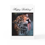 Feline Love Birthday Card