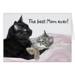 Feline Mother's Day Card