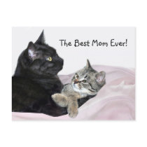 Feline Mother's Day Post Card