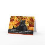 Feline Superstition cards