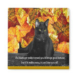 Feline Superstition magnets