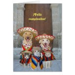 ¡Feliz cumpleaños! Cards