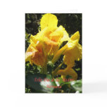 Feliz dia de las madres Hermana cards