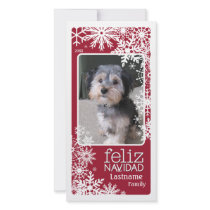 Feliz Navidad -  Let It Snow!