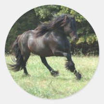 Fell Pony Stallion Round Stickers