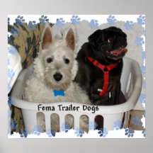 Fema Trailer Dogs Print