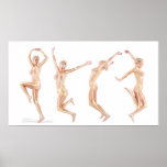 Female Anatomy posters