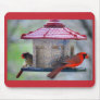 Female and Male Cardinals at Bird Feeder Mousepad