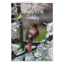 Female Cardinal 100th Birthday