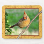 Female Cardinal Mousepad