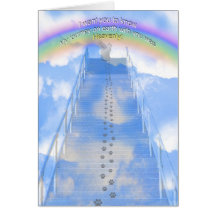 Female Cat Sympathy Card- Stairway to Heaven