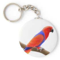 Female Eclectus Parrot Keychain