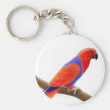 Female Eclectus Parrot Keychain