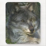 Female GREY WOLF Mouse Pad