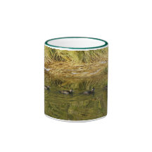 Female Harlequin Ducks in Autumn Mugs