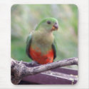 Female King parrot mousepads