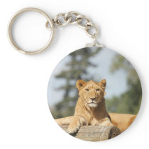 Female Lion Keychain