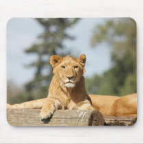 Female Lion Mouse Pads
