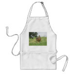 Female Mallard Duck Apron