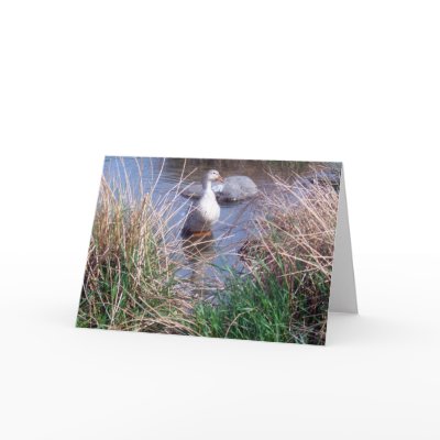 Female Mallard Duck Greeting Card by CreatureCreations