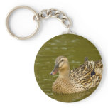 Female Mallard keychains