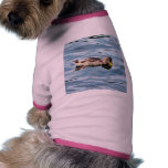 Female Mallard On Water pet clothing