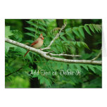 Female Northern Cardinal card
