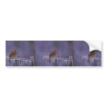 Female Northern Cardinal on Frozen Branch Bumper Stickers