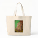 Female Nude In The Morning bags