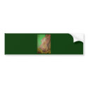 Female Nude In The Morning bumper stickers