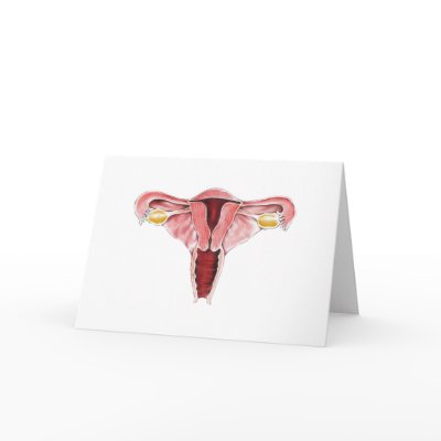 Female Reproductive Greeting Card by Dynomoose