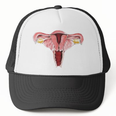 Female Reproductive System hat by Dynomoose