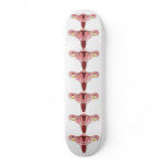 Female Reproductive System Sk8 board skateboards