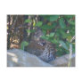 Female Ruffed Grouse Postcard
