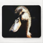 Female Rune Duck Mousepad
