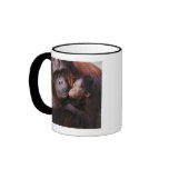 Female Sumatran Orangutan with baby, Pongo Coffee Mugs