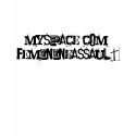 Feminine Assault Ladies Fitted Hoodie t-shirts