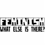 Feminism What Else Is There? photo sculptures